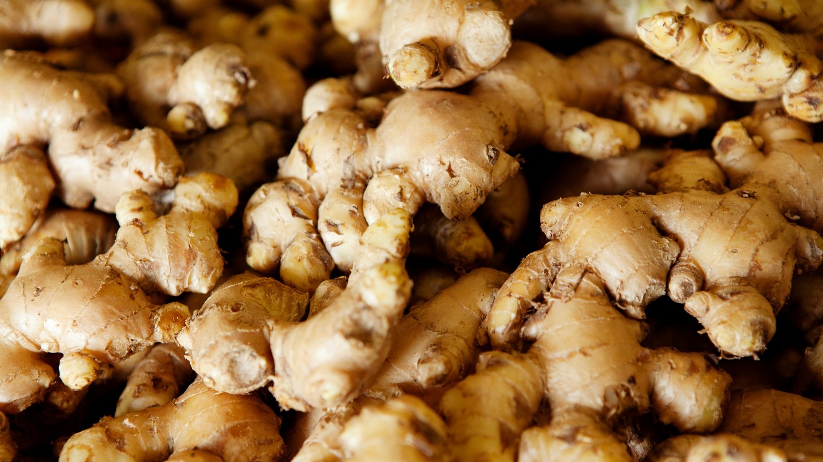 Ginger root for metabolism