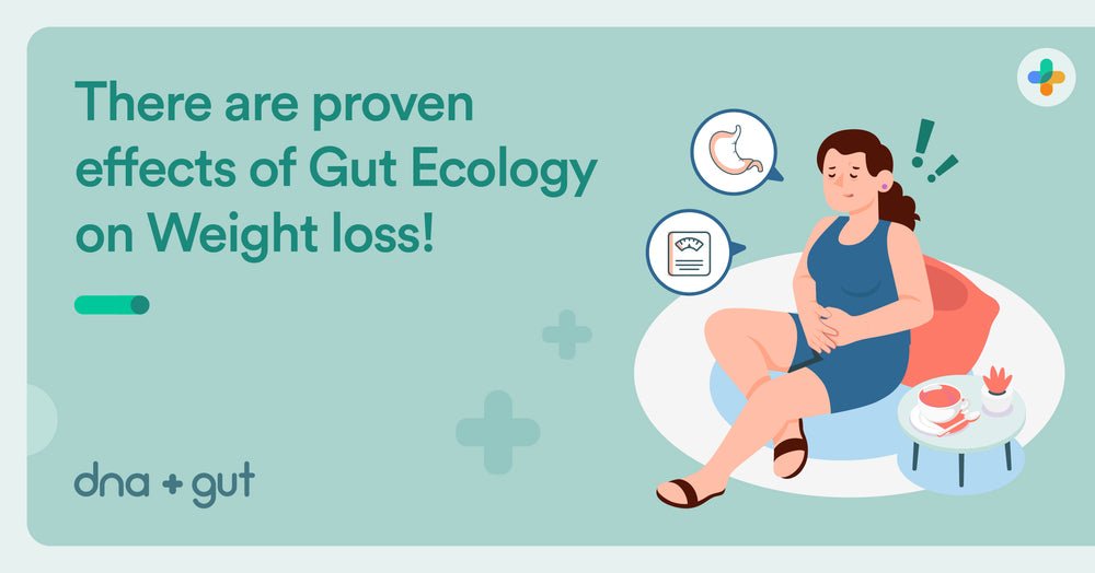 Gut health and weight loss connection