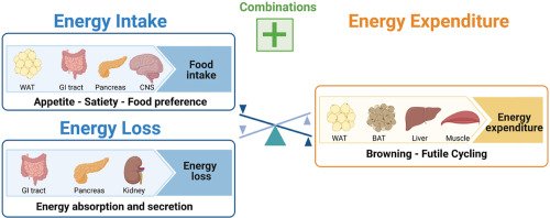 Energy expenditure factors