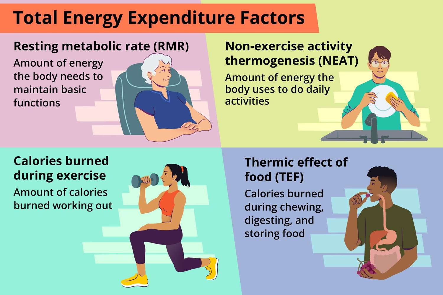 Metabolism and thermogenesis for weight loss
